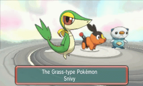 Choose Your Starter Pokemon Pokemon Black And White GIF