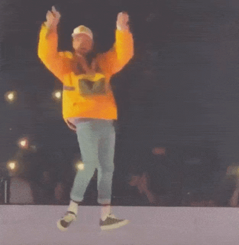 Chris Brown Chris Brown Party GIF