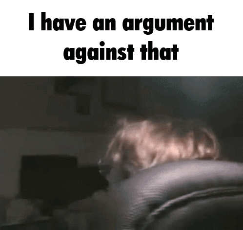 Chris Chan Argument GIF