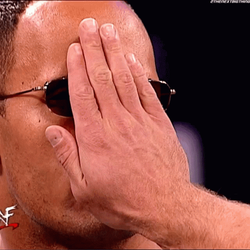 Chris Jericho The Rock GIF