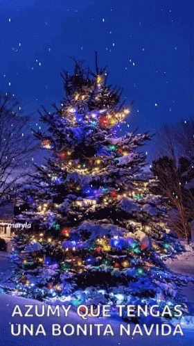 Christmas Blessings GIF. This 280 x 498 animated GIF is part of our imagenes de navidad collection. Related themes include christmas, love. Created by…