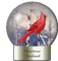 Christmas Cardinal Sticker