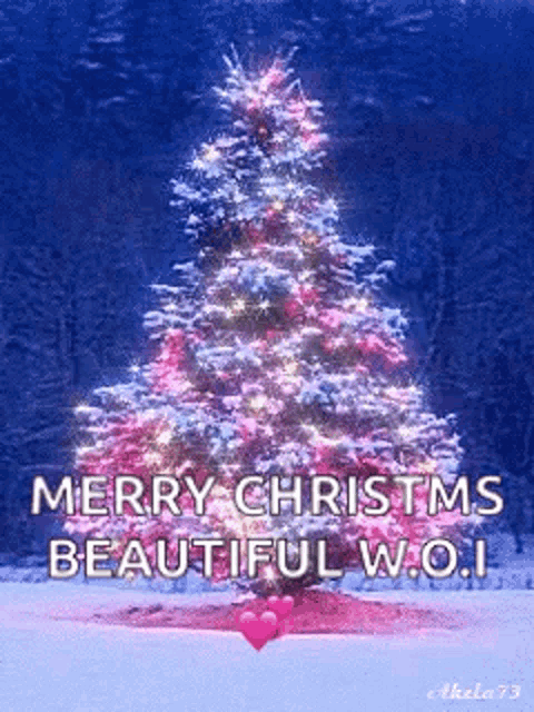 Christmas Christmas Tree GIF