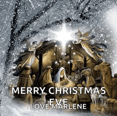 Christmas Eve Merry Christmas GIF