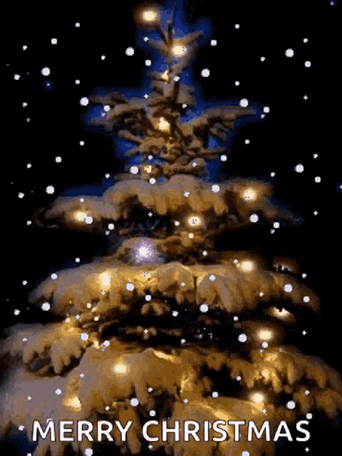 Christmas Lights GIF