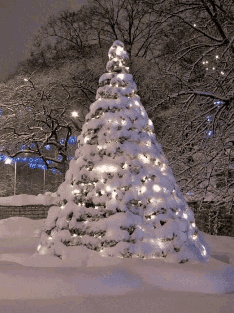 Christmas Lights Merry Christmas GIF