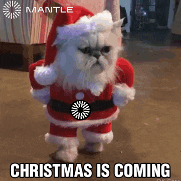 Christmas Merry Christmas GIF