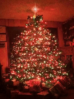 Christmas Morning Christmas Tree GIF