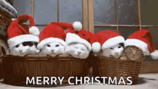 Christmas GIF