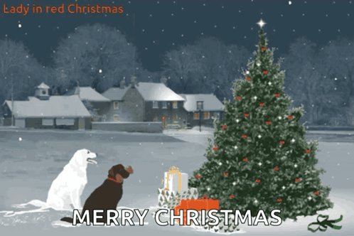 Christmas Tree Christmas Lights GIF. This 498 x 332 animated GIF is part of our frohe weihnachten und ein gutes neues jahr collection. Related themes…