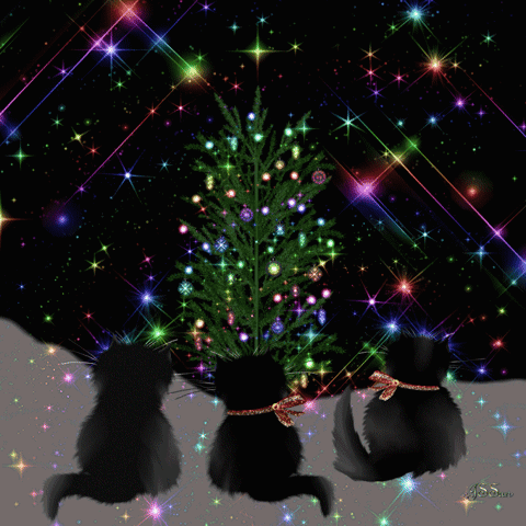 Christmas Tree Christmas Lights GIF
