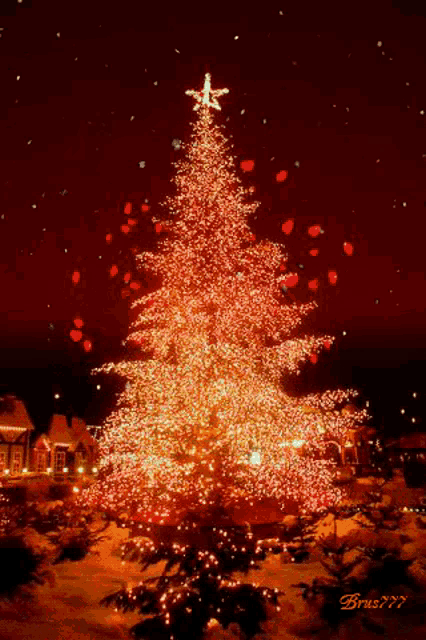 Christmas Tree Lights GIF