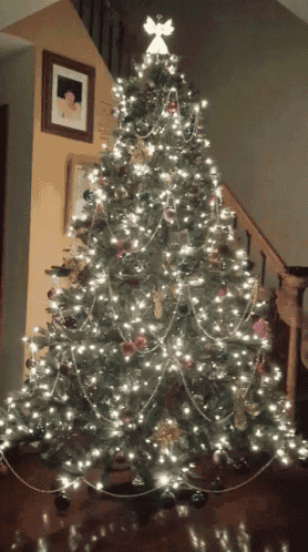 Christmas Tree Lights GIF