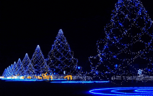 Christmas Trees Meme