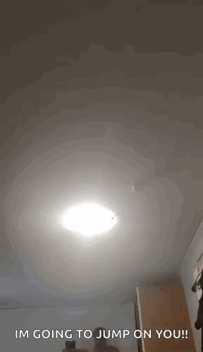 Chrizzy B Dive GIF