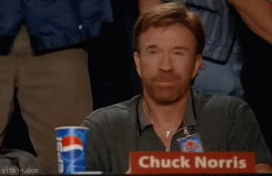 Chuck Norris Approve GIF