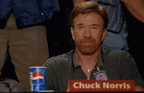 Chuck Norris Approves GIF