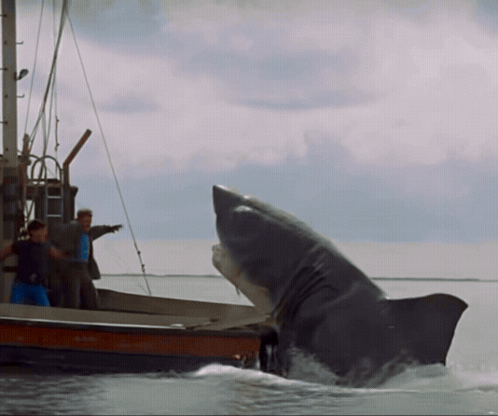 Chuck Norris Chuck Norris Kick GIF