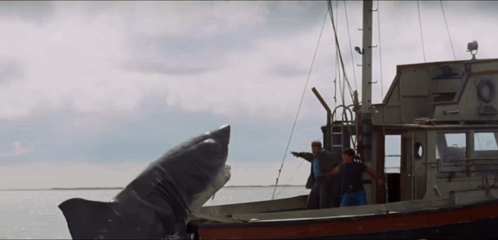 Chuck Norris Legend GIF