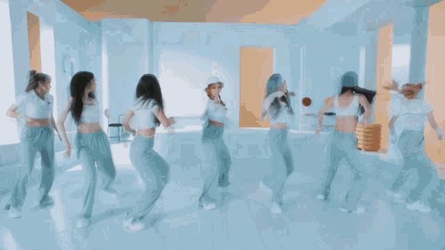 Cignature Kpop GIF