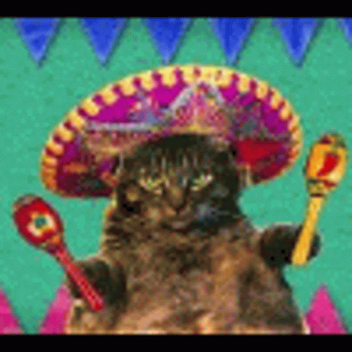 Cinco De GIF