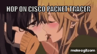 Cisco Pakcet Tracer Anime GIF