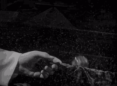 Citizen Kane Rosebud GIF