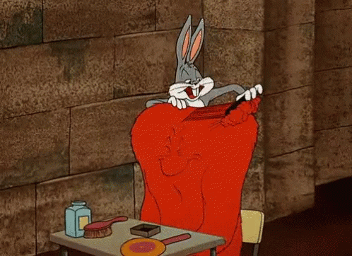 Ck0 Bugs GIF