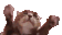 Clappi Cat Clapping Sticker