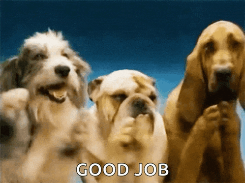 Clapping Dog Applause GIF
