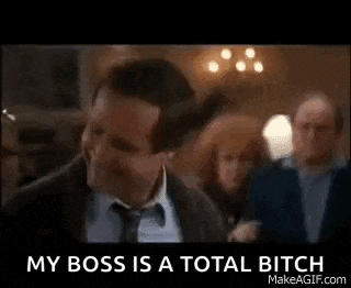 Clark Griswold Christmas Vacation GIF