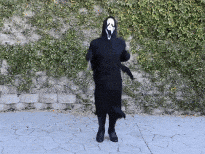 Classic Ghostface Classic Sam GIF
