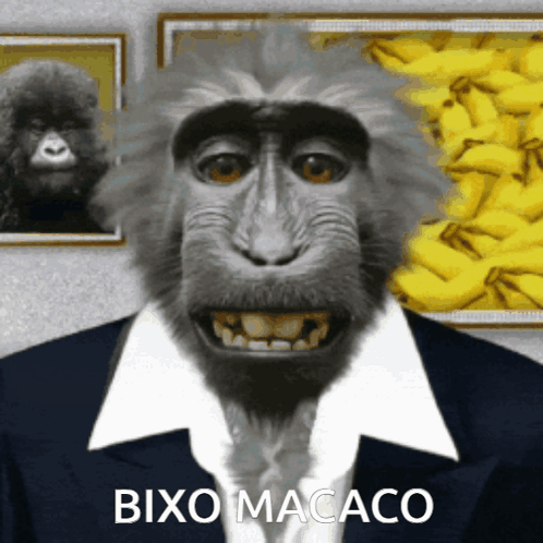 Cleixonho Bixo Macaco GIF