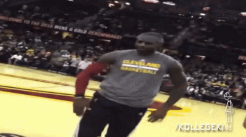 Cleveland Cavaliers Lebron James GIF