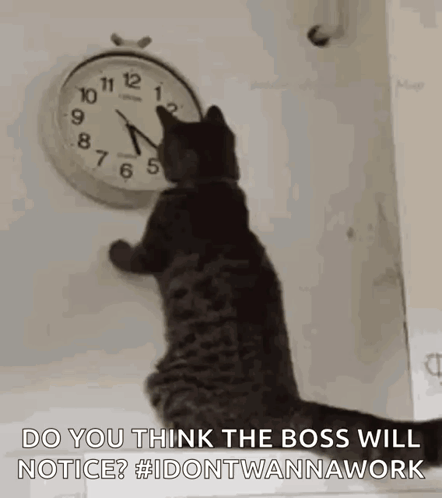Clock GIF. This 442 x 498 animated GIF is part of our clock collection. Created by msgiggleguts. View the original animation, share it, or browse related…