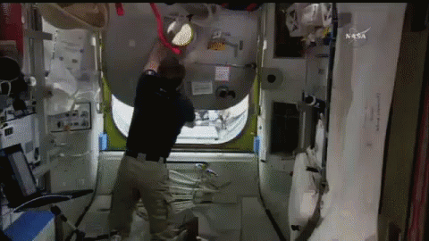 Closing The Hatch GIF