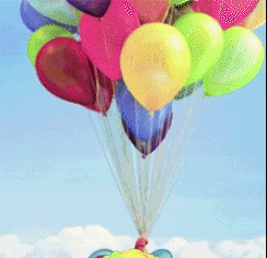Clown Dog Dfinity GIF