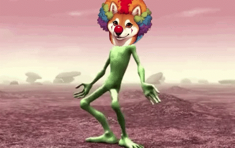 Clown Dog Idoge GIF