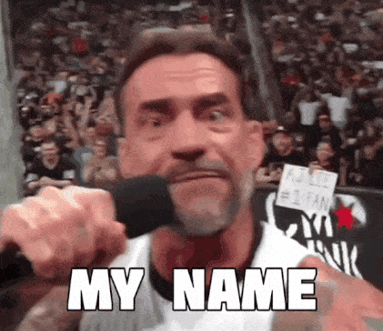 Cm Punk Promo Wwe GIF