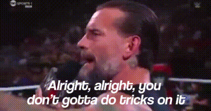 Cm Punk Wwe GIF