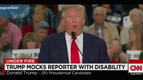 Cnn Donald Trump GIF