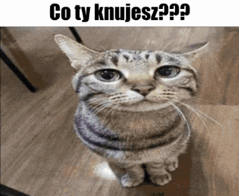 Co Co Ty Meme