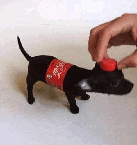 Coca Cola Espuma Meme