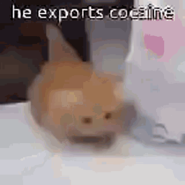 Cocaine GIF