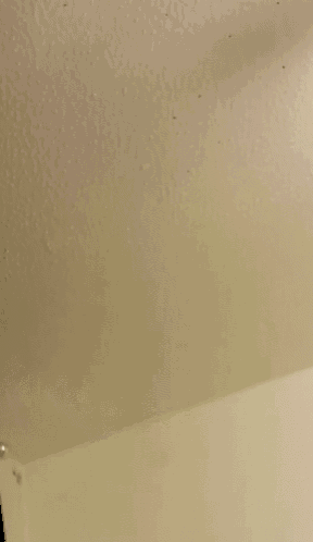 Cocaine GIF