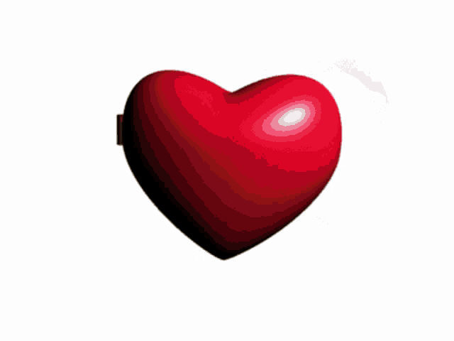 Cock Heart Locket GIF