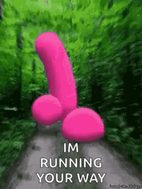 Cock Penis GIF