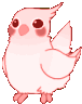 Cockatiel Cockatiel Bird Sticker