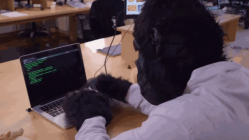 Code Monkey Checkmate Digital GIF. This 498 x 280 animated GIF is part of our soy programador collection. Related themes include hacker. Created by…