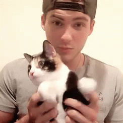 Cody Christian Cat GIF